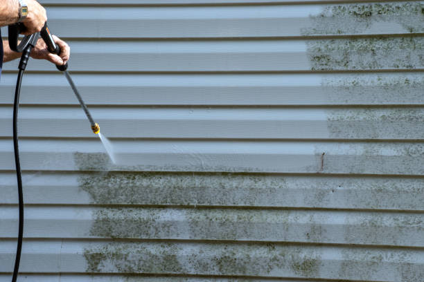 Affordable Siding Repair and Maintenance Services in Laton, CA