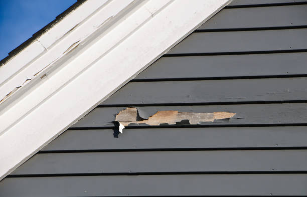 Best Historical Building Siding Restoration  in Laton, CA